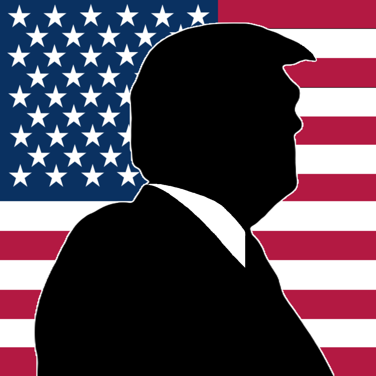 Trump Outline and Flag - Hitch Cover Design