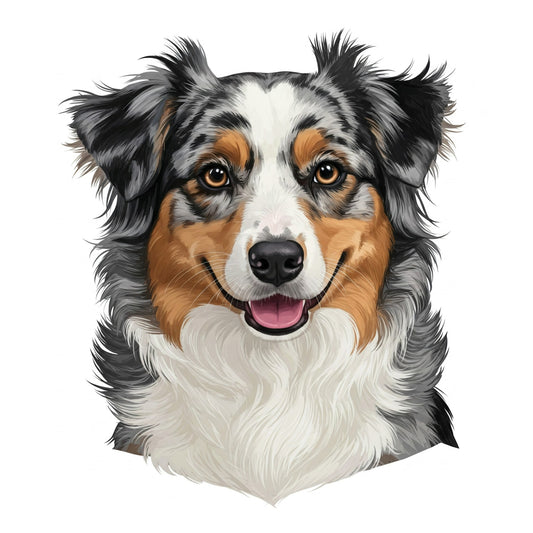 Australian Shepherd - Hitch Cover Design