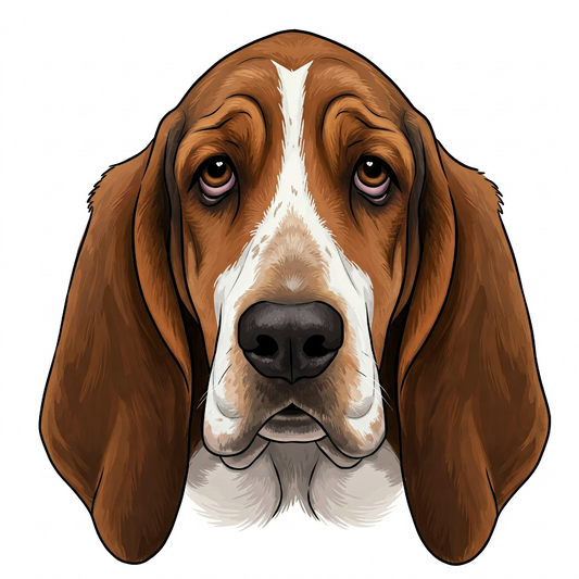 Basset Hound - Hitch Cover Design