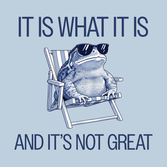 It Is What It Is, And It Is Not Great